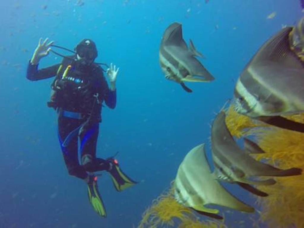 Chindonan Dive And Beach Resort Корон Экстерьер фото