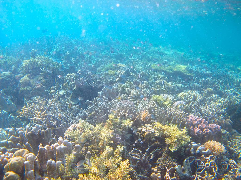 Chindonan Dive And Beach Resort Корон Экстерьер фото